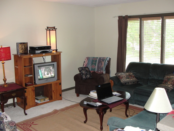 Apartments,Cheap White Wall Paint Bachelor Apartment Design Ideas With Awesome Bright Wood Entertainment Tv And Nice Brown Glossy Oval Wood Table Plus Comfortable Two Seater Sofa In Beautiful Dark Green Color Also Picturesque Glass Windows On Combined Wonderful Brown Curtains ,Exceptional Bachelor Apartment Designs