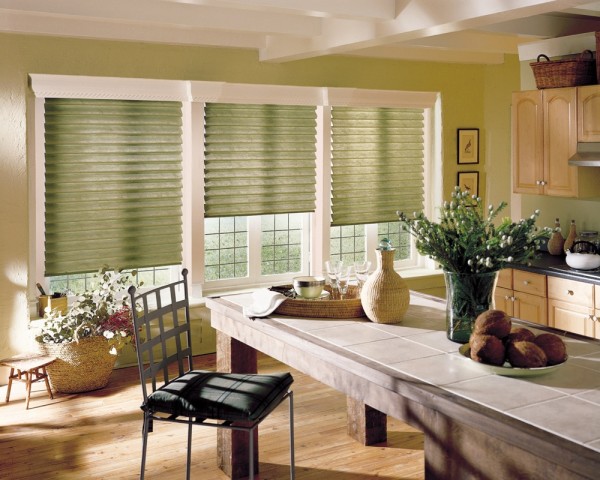 Interior,New Model Light Green Discount Custom Blind Design Ideas With Cozy Chair And Nice Arrangement Floral Also Clean Kitchen Island For Cool Kitchen Room,Discount Custom Blinds Collection 