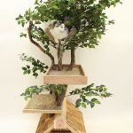 Interior,Creative And Smart Indoor Plant Decoration Ideas With Stylish Indoor Tree Plnat Cat House Also Beautiful Wood Material In Bright Brown Color For Unique Concept,Indoor Plant Decoration Ideas