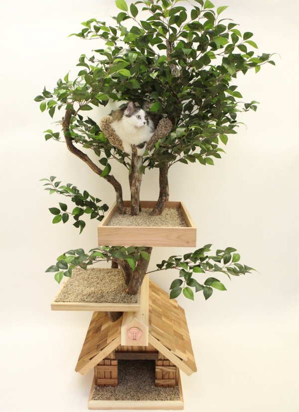 Interior,Creative And Smart Indoor Plant Decoration Ideas With Stylish Indoor Tree Plnat Cat House Also Beautiful Wood Material In Bright Brown Color For Unique Concept,Indoor Plant Decoration Ideas