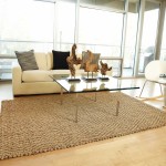 Interior,Modern Jute Outdoor Rug Design Ideas With Comfortable White Sofa And Modern White Rocking Chair Also Nice Tempered Glass For Living Room,New Style Jute Outdoor Rugs 