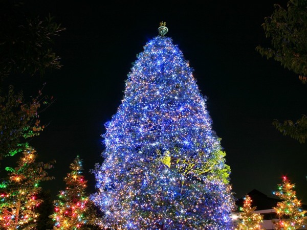 Furniture,Beautiful Outdoor Xmas Tree Design Ideas With Wonderful Blue Xmas Tree Lights And Gorgeous Green Ball Ornaments,Awesome Xmas Trees Latest For Christmas