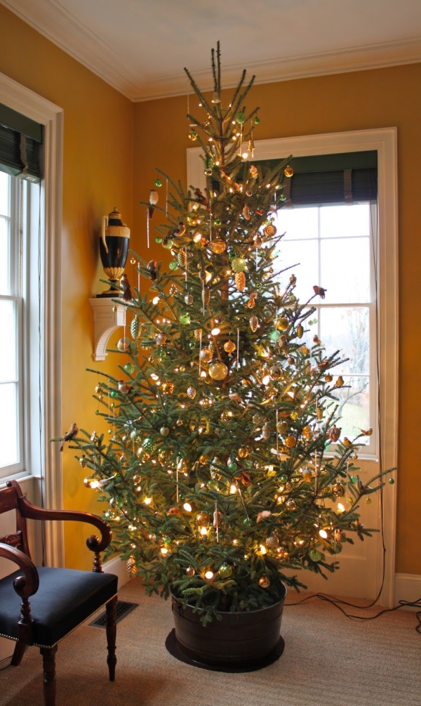 Furniture,Astounding Yellow Wall Paint Xmas Tree Decoration With Awesome Black Potted Christmas Tree And Beautiful Xmas Tree Lights In Nice Cream Color Plus Beautiful Golden Ball Ornaments Also Wonderful White Wood Windows On Combined Cool Black Blinds,Awesome Xmas Trees Latest For Christmas