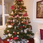 Furniture,Enthralling White Wall Paint Best Christmas Decorating Ideas With Beautiful Green Corner Christmas Tree On Combined Nice Cream Xmas Tree Lights And Gorgeous Having Red Series Ribbon Flowers Also Wonderful Star Crystal On The Top,The Best Christmas Decorating Ideas And Christmas Tree For Your Home