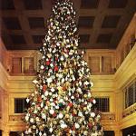 Furniture,Fabulous Large Indoor Xmas Tree Design Ideas With Wonderful Ball Ornamets In Multicolor And Gorgeous Christmas Bell Ornaments Also Nice Glass Windows,Awesome Xmas Trees Latest For Christmas
