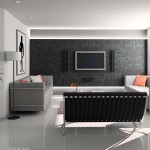 Furniture,Contemporary Interior Design Picture With Awesome Twins Gray Sleeper Sofa And Nice Black Sofa On Combined Unique Stainless Curved Shape Legs Plus Picturesque Tv Wall Units Also Exquisite White Wall Paint,Pretentious Interior Design Pictures 2015