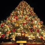 Furniture,The Best Large Outdoor Xmas Tree Design Inspiration With Beautiful Red Plus Gold Ball Ornaments And Gorgeous Xmas Tree Lights In Cream Color,Awesome Xmas Trees Latest For Christmas