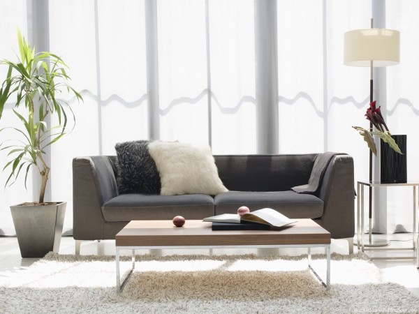 Interior,Unusual Interior Design Photo With Modern Black Two Seater Sofa And Cool Brown Rectangular Table On Combined Soft White Fur Rug Also Beautiful Gray Stone Potted Plant Plus Cool Cream Drum Floor Lamp,Best High Quality Interior Design Photos To Your Living Room