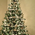 Furniture,Wonderful Indoor Xmas Tree Design Ideas With Adorable Xmas Tree Lights In Beautiful White Color And Gorgeous Shiny Ball Ornaments Also Nice Beige Wall Paints,Awesome Xmas Trees Latest For Christmas
