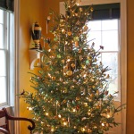 Furniture,Astounding Yellow Wall Paint Xmas Tree Decoration With Awesome Black Potted Christmas Tree And Beautiful Xmas Tree Lights In Nice Cream Color Plus Beautiful Golden Ball Ornaments Also Wonderful White Wood Windows On Combined Cool Black Blinds,Awesome Xmas Trees Latest For Christmas