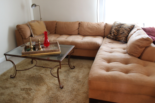Furniture,Enchanting Best Leather Couch Conditioner Design Inspiration With Marvelous Curved Sectional Sofa On Combined Cream Color And Trend Leopard Cushion Also Cool Clear Glass Table Plus Iron Base On Combined Soft Brown Area Rug For Living Room,The Best Leather Couch Conditioner 
