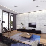 Apartments,Chic Large Space Studio Apartment Interior Design Ideas With Stylish Stainless Wall Panels On Combined Nice Tv Wall Units And Gorgeous Natural Wood Coffe Table Plus Soft Gray Fur Rug Also Amazing Glass Sliding Door ,Extraordinary Studio Apartment Interior Designs