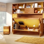 Bedroom,Cool Amazing Storage For Small Bedroom With Cool Multifunction Murphy Bed And Gorgeous Open Shelves Also Soft Beige Fur Rug On Combined Adorable Bright Wood Floor,Modern Storage For Small Bedroom Inspiration