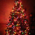Furniture,Cool Amazing Red Themed Xmas Tree Design Ideas With Wonderful Colorfull Xmas Tree Lights And Beautiful Golden Ball Ornaments Also Nice Open Bookshelf,Awesome Xmas Trees Latest For Christmas