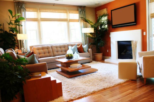 Interior,Fascinating Indoor Plant Decoration Ideas With Charming Bright Color Small Living Room And Comfortable Beige Fabric Three Seater Sofa Also Cool Brown Wood Table Fireplace On Combined Soft White Area Rug Plus Gorgeous Bright Wooden Flooring For Tropical Concept,Indoor Plant Decoration Ideas