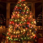Furniture,Cool Amazing Small Space Xmas Tree Design Inspiration With Charming Red Green Xmas Tree Lights And Beautiful Having Red Series Ribbon Flowers Also Adorable Glass Windows,Awesome Xmas Trees Latest For Christmas