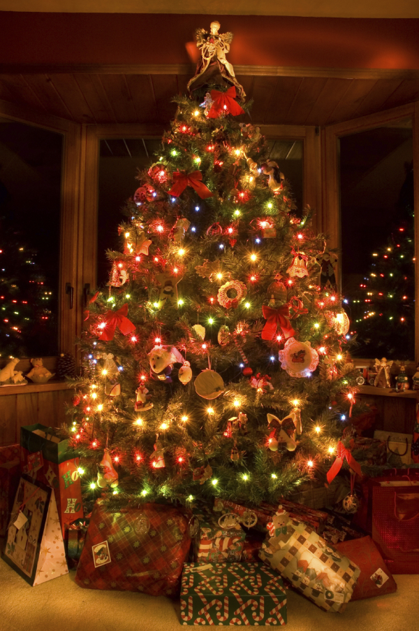 Furniture,Cool Amazing Small Space Xmas Tree Design Inspiration With Charming Red Green Xmas Tree Lights And Beautiful Having Red Series Ribbon Flowers Also Adorable Glass Windows,Awesome Xmas Trees Latest For Christmas