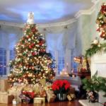 Furniture,Breathtaking White Wall Paint Xmas Tree Design Inspiration With Wonderful Xmas Tree Lights In Nice Cream Color And Beautiful Cream Plus Red Ball Ornaments Also Stunning Christmas Tree Wreath For Luxurious Concept,Awesome Xmas Trees Latest For Christmas