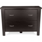 Uncategorized,Awesome Lateral File Cabinet Design Idea With Two Drawer For Modern Concept,Unusual Collection Lateral File Cabinets