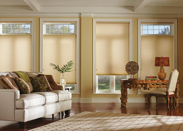 Uncategorized,Stylish Modern Florida Custom Blinds With Cool Window Beautiful Shades For Living Room,Cool And Beautiful Custom Blinds