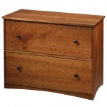 Uncategorized,Stylish Wooden Lateral File Cabinet With Beautiful Two Drawer Design Ideas,Unusual Collection Lateral File Cabinets