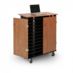 Furniture,Modern Storage Cart Design Ideas With Beautiful Black And Brown Also Cool Two Door,10 Storage Carts Designs