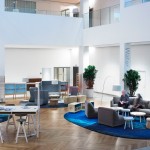 Interior,Cool Amazing Office Rug On Combined Blue Color With Modern Chair And Beautiful Grey Sofa For Expensive Concept,Impressive Style Office Rugs Design Ideas