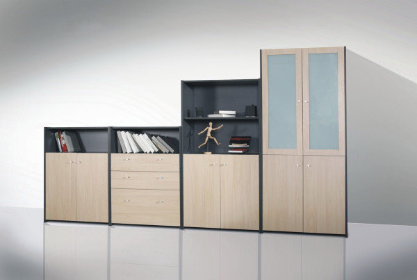 Furniture,Marvelous Wood Furniture File Cabinet Design With Cool Bookshelf And Charming Brown Black Color ,Style Modern Furniture File Cabinets Design 