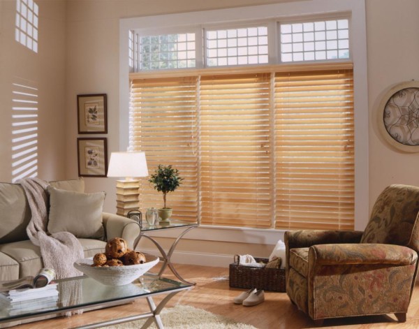 Interior,Wonderful Home Window Shades Design Inspiration With Stylish Sofa And Beautiful Glass Table Also Nice Stand Lamp,Fabulous Home Window Shades